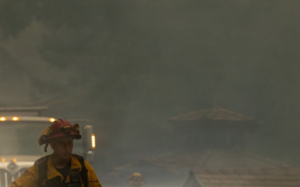 Timber Fire