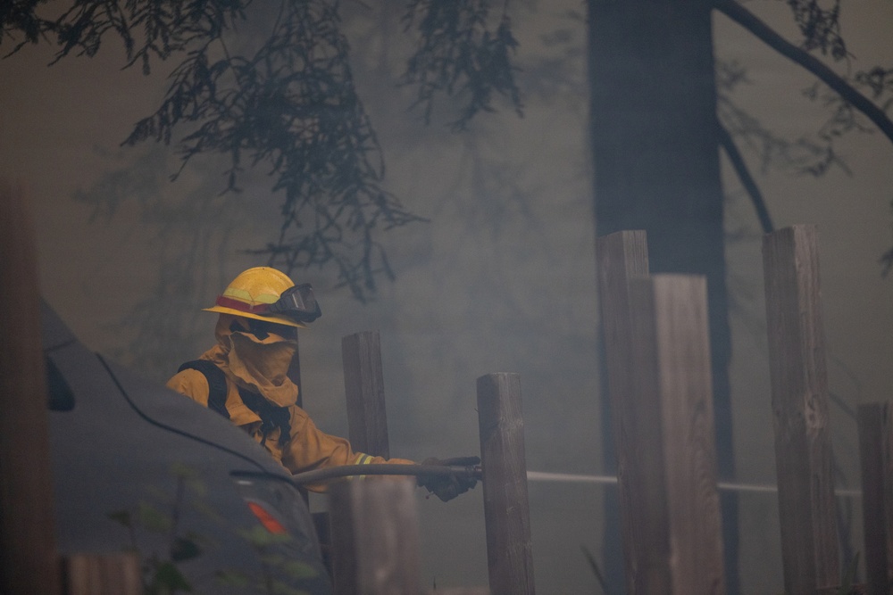 Timber Fire
