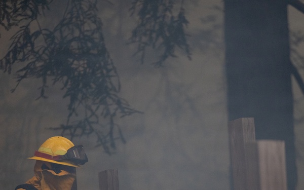 Timber Fire