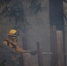 Timber Fire