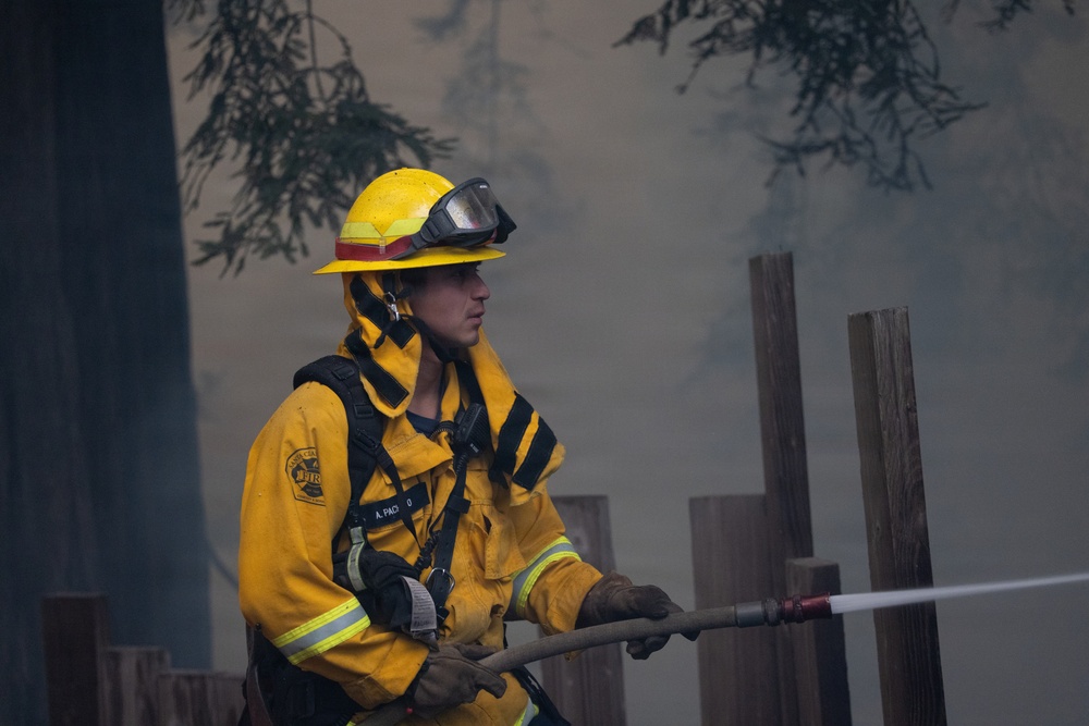 Timber Fire