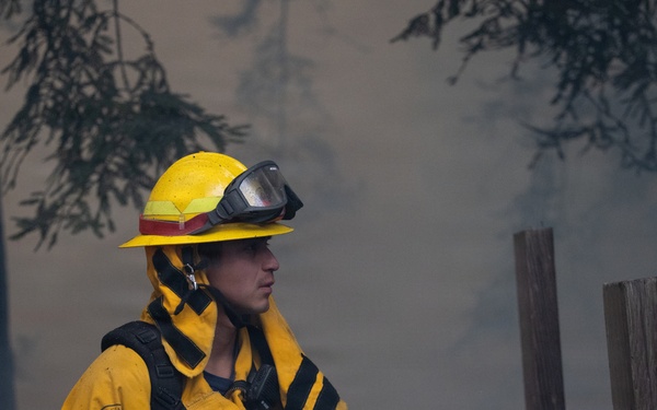 Timber Fire