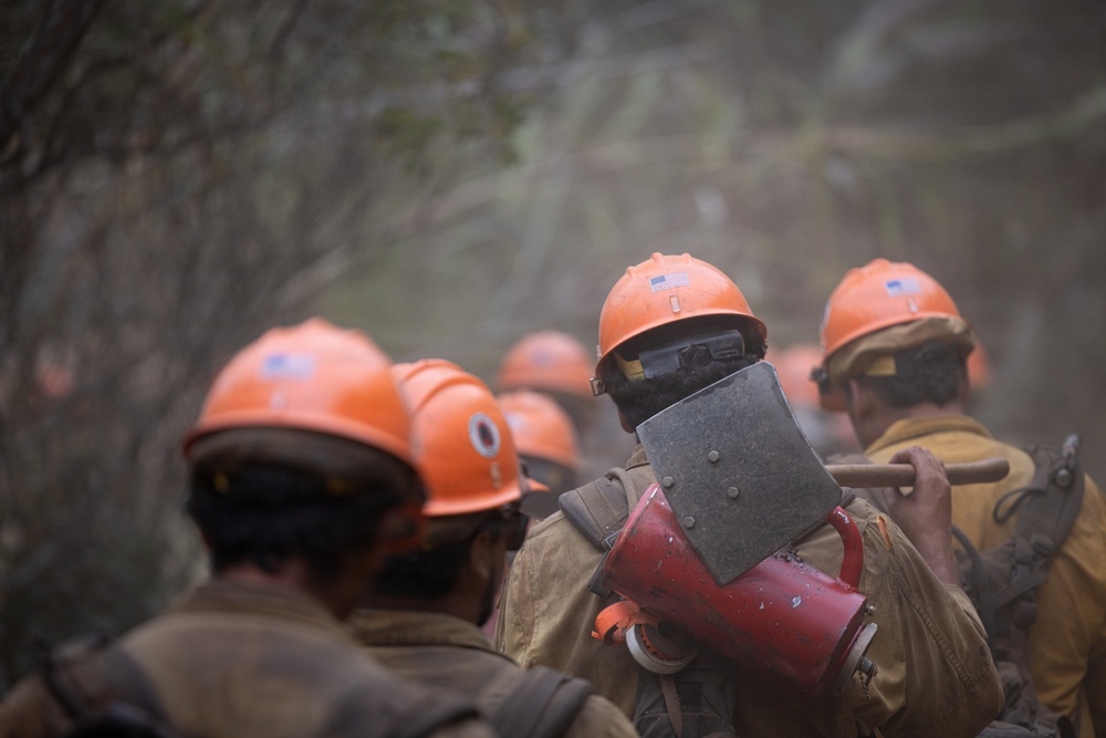 Timber Fire