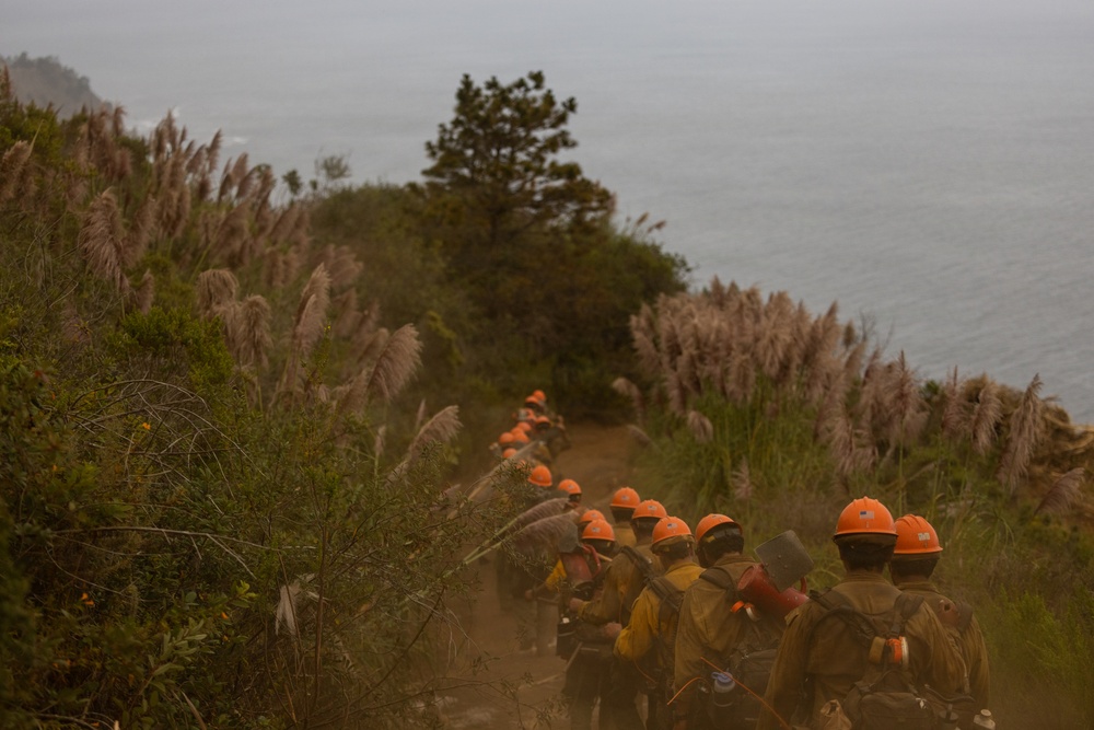 Timber Fire