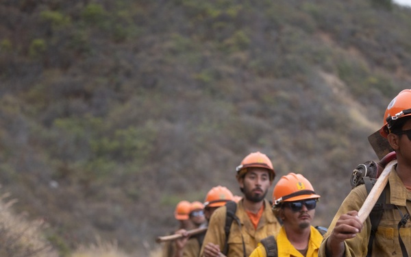 Timber Fire
