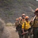 Timber Fire