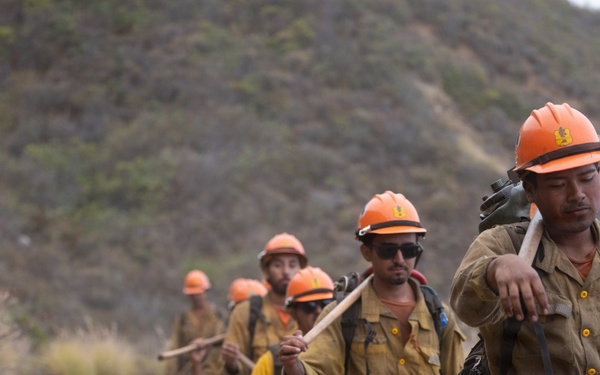 Timber Fire
