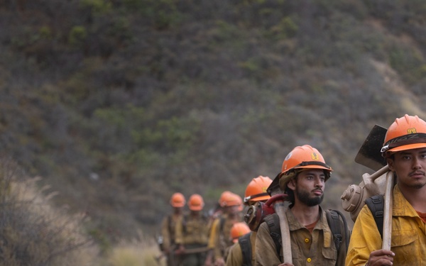 Timber Fire