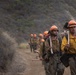 Timber Fire