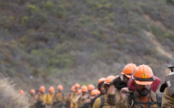 Timber Fire