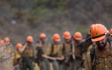 Timber Fire