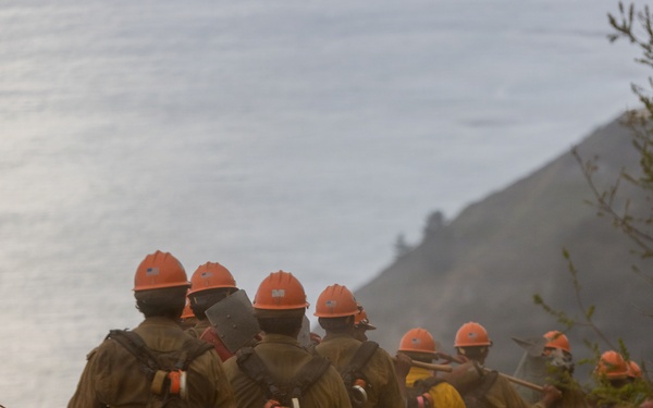 Timber Fire