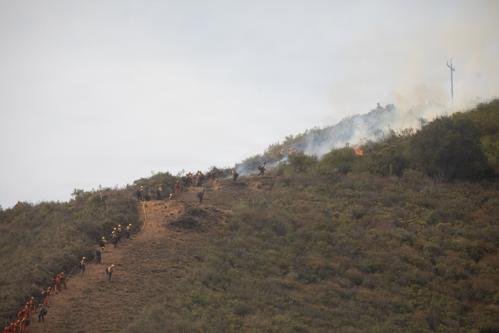 Timber Fire