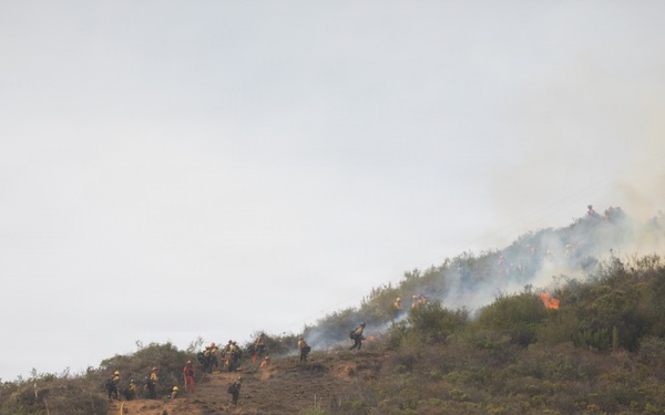 Timber Fire
