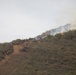 Timber Fire