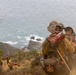 Timber Fire