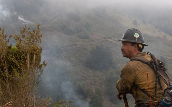 Timber Fire