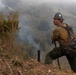 Timber Fire