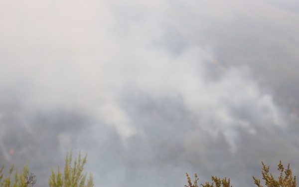 Timber Fire
