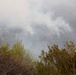 Timber Fire