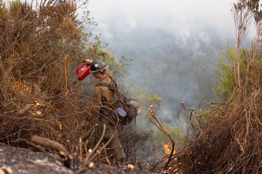 Timber Fire