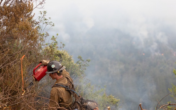 Timber Fire