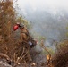 Timber Fire