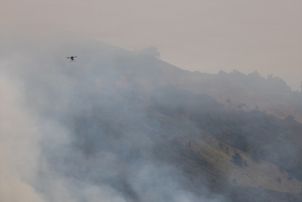 Timber Fire