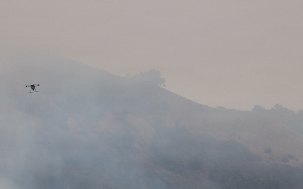 Timber Fire