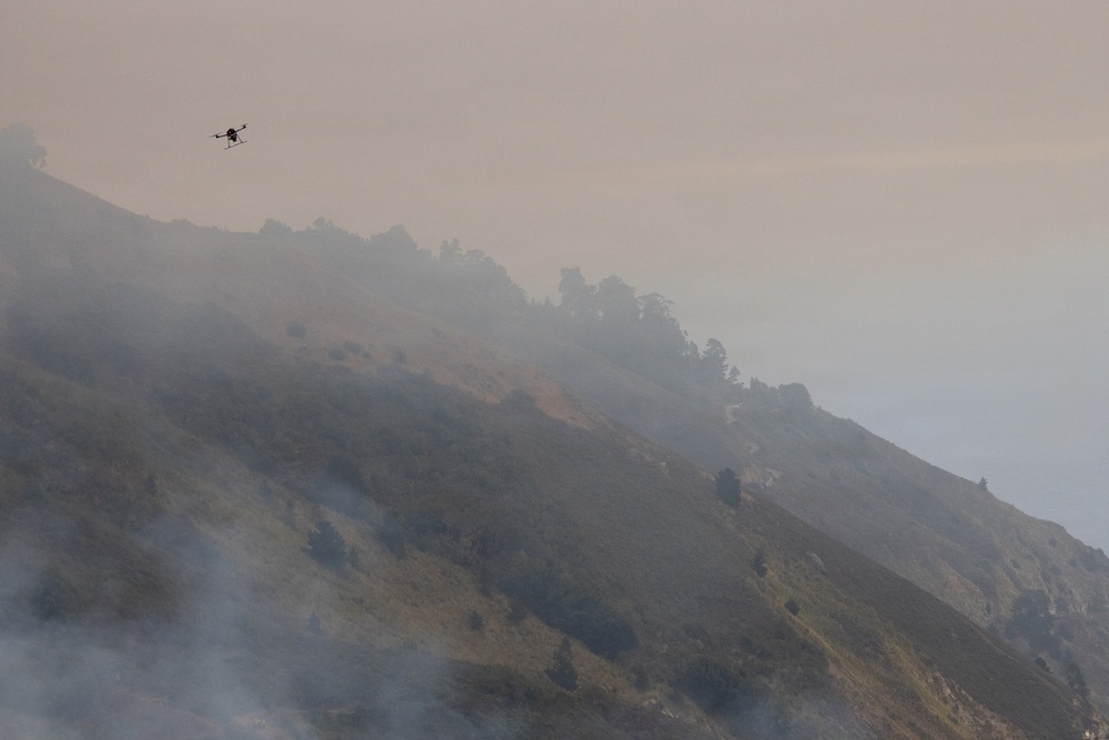 Timber Fire