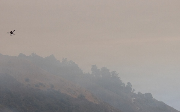 Timber Fire
