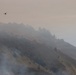 Timber Fire