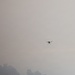 Timber Fire
