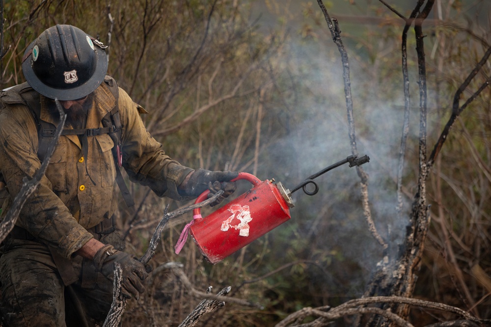 Timber Fire