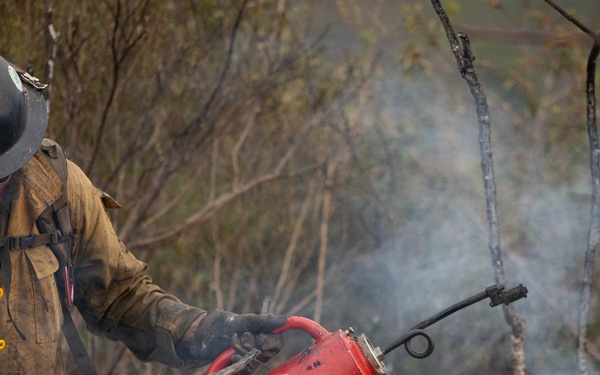 Timber Fire