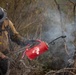 Timber Fire