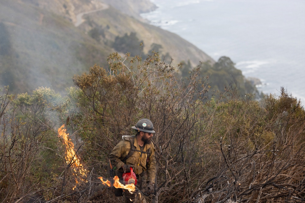Timber Fire