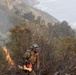 Timber Fire