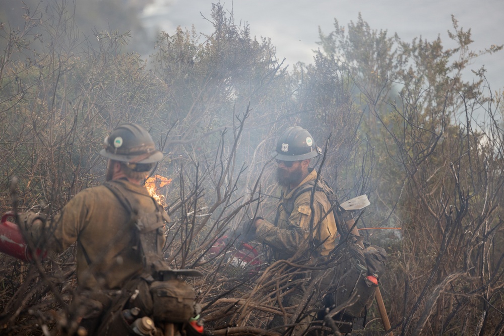Timber Fire