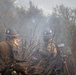 Timber Fire