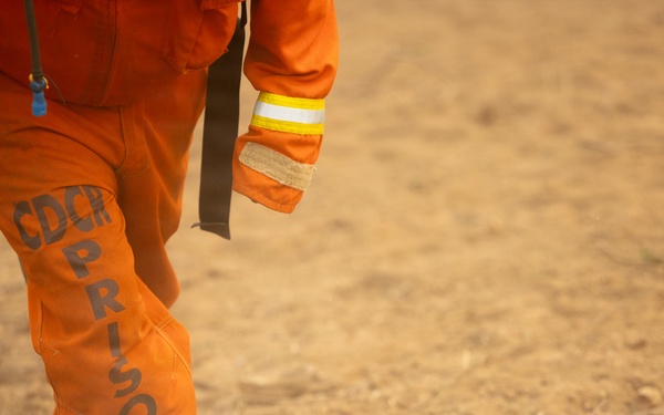 Timber Fire