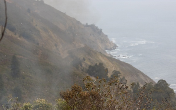 Timber Fire