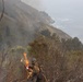 A wildland firefighter is using a drip torch to conduct a controlled burn or backfire operation on a steep coastal hillside. The scene shows active flames being deliberately set among dry brush and shrubs, with a dramatic coastal cliff and ocean visible in the background. Smoke fills the air, indicating ongoing fire activity in the area.