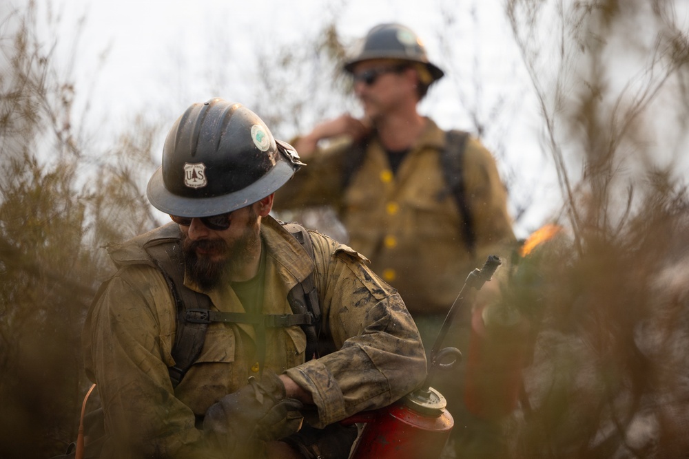 Two U.S. Forest Service wildland firefighters are working in a smoky, vegetation-dense environment. The foreground firefighter wears a dirty hard hat bearing the USFS shield badge and is handling what appears to be a drip torch used for controlled burns. Both personnel are wearing standard yellow Nomex fire-resistant gear that shows significant dirt and soot accumulation.