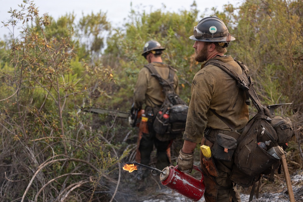 Two wildland firefighters are working in a brushy, partially burned landscape. The foreground firefighter is holding a drip torch (a red canister with an active flame), indicating they are conducting a prescribed burn or backfire operation. Both personnel are wearing standard wildland firefighting gear including hard hats, fire-resistant Nomex clothing, and are carrying tools and equipment.