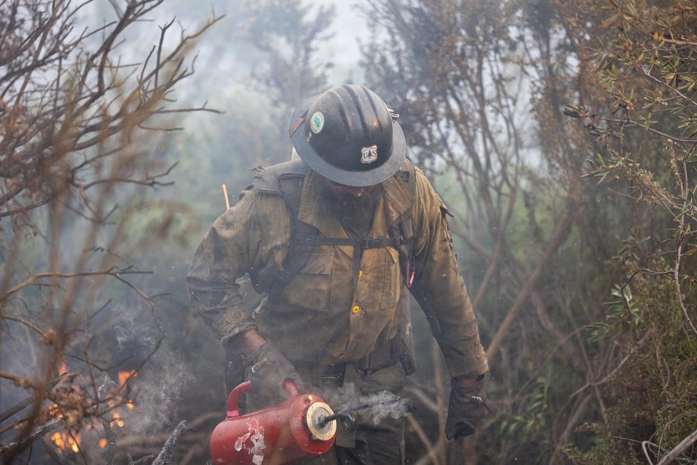 A wildland firefighter wearing a U.S. Forest Service hard hat and fire-resistant gear is working in a smoky, burning brush area. The firefighter is holding a drip torch, a device used to ignite controlled burns or manage fire lines. The environment is heavily obscured by smoke with visible flames and charred vegetation in the foreground.