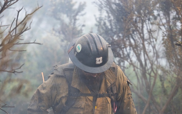 Timber Fire