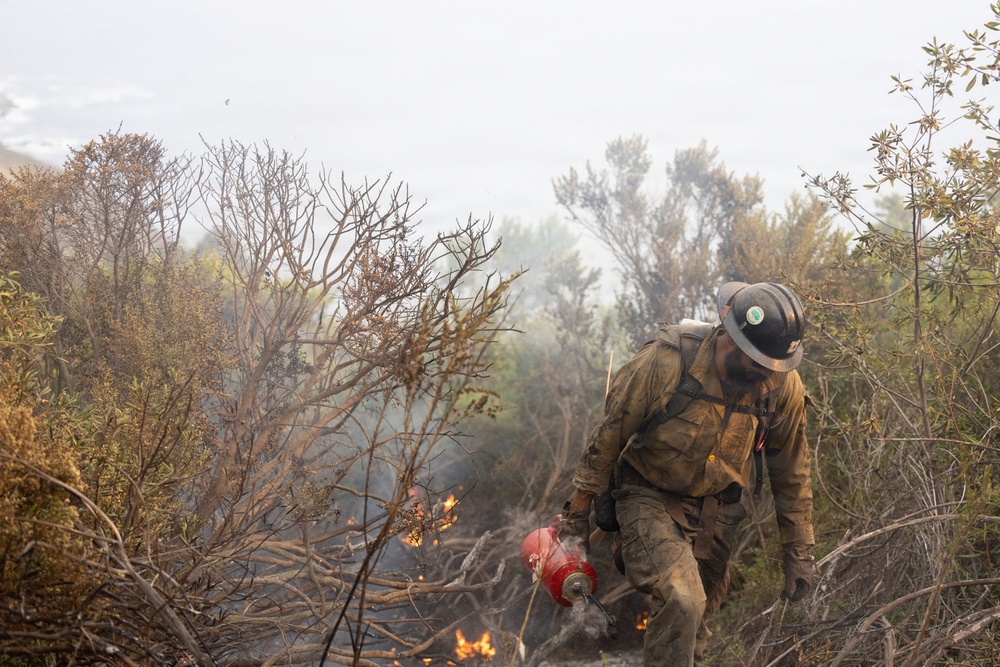 A wildland firefighter is working in dense, smoke-filled brush while actively combating a wildfire. The firefighter is holding a red drip torch or similar firefighting tool and is surrounded by burning and scorched vegetation. The scene depicts close-range ground-level fire suppression or controlled burn operations in rugged terrain.