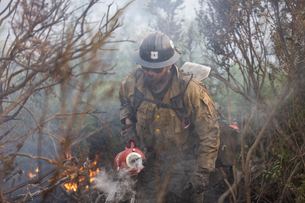 A U.S. Forest Service wildland firefighter is actively working in a smoky, burning landscape surrounded by charred and burning brush. The firefighter is carrying a drip torch, a tool used to ignite or manage controlled burns and fire lines. The scene depicts intense, close-quarters wildfire suppression or prescribed burn operations.
