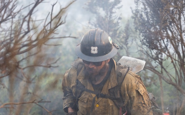 Timber Fire